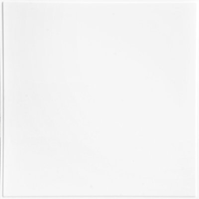 Carreau de plafond en PVC 4 pi x 2 pi blanc