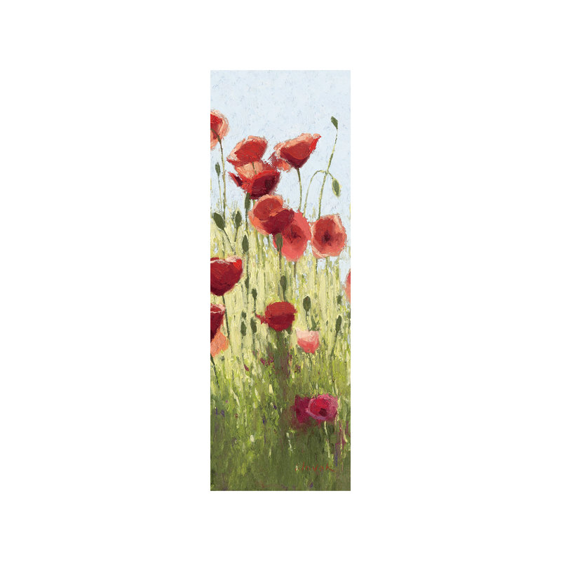 Mountain Poppies I by Shirley Novak - Wrapped Canvas Panoramic Painting, 30.48 cm H x 91.44 cm W x 1.91 cm D