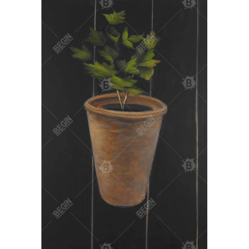 "Plante de persil" sur toile