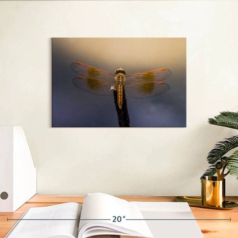 Dragonfly Glow, 8" H x 12" W