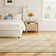Adalina Indoor / Outdoor Rug