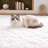 White Fluffy Area Rug - Ultra Soft Shag Rug for Living Room, Bedroom, Holiday Decor, Non-Slip Plush Carpet for Modern Home-1839834368