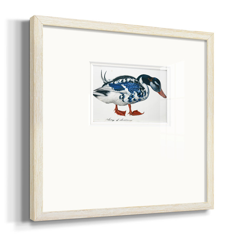 Colvert bleu, H 17 po x l 17 po x P 1,25 po