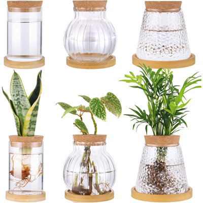 6 pièces terrarium de plantes de bureau avec plante en verre et couvercle en bois
