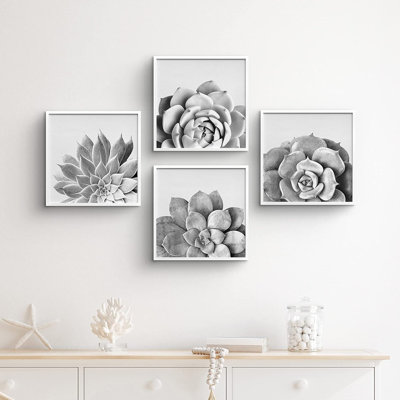 Duotone Lilypad Succulent Variety - ensemble de 4 photos encadrées