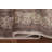 Traditional  Oriental Area Rug 7x10