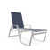 Holna Outdoor Rust-Resistant Metal Chaise Lounge