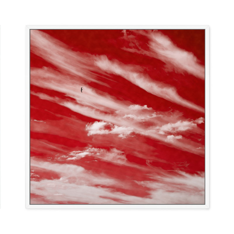 Sky High In Red, 30" H x 30" W, White