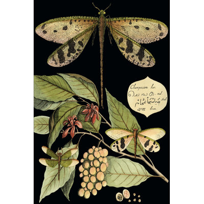 Whimsical Dragonfly On Black I by Vision Studio - Wrapped Canvas Painting
