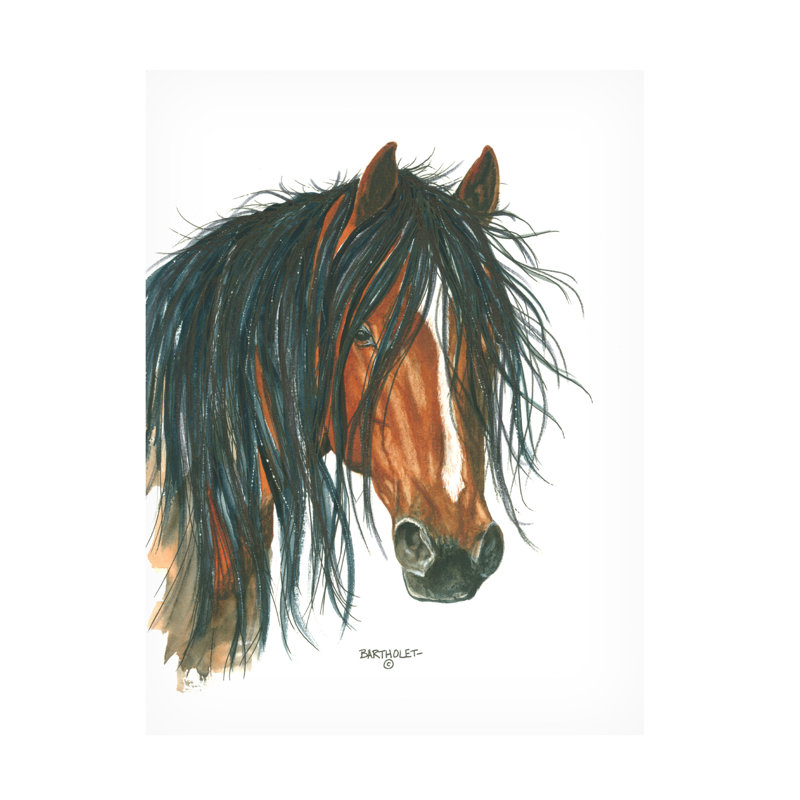 Art sur toile «bolologic Dave Bartholet», H 14 po x l 19 po