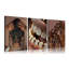 3 Piece Wrapped Canvas Print