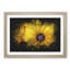 Yellow Coneflowers - Framed Print-56842446-56842448