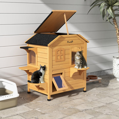 Cat House