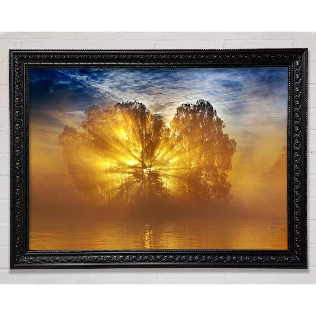 Golden Sunburst Tree - Einzelner Bilderrahmen Kunstdrucke