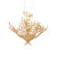 Lustre Huckleberry
