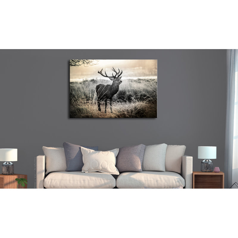 No Frame Print on Canvas, 60cm H x 90cm W