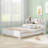Zacek Kids Platform-1614451135-1614451129