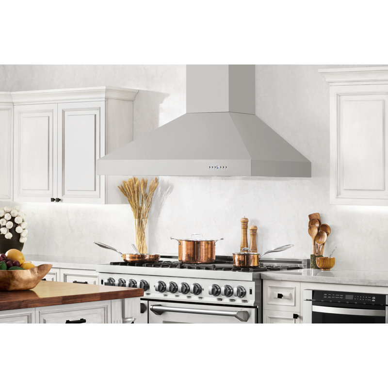ZLINE 48 in. Ducted Wall Mount Range Hood in Outdoor Approved Stainless Steel (697-304-48)