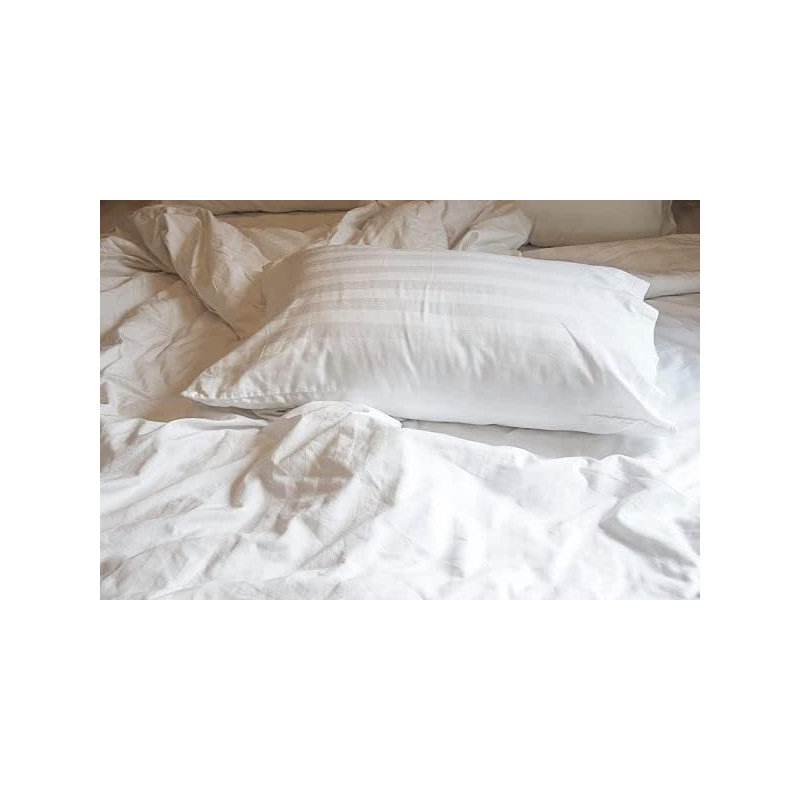Housse de coussin 100% coton Terrapin