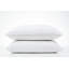 Ensemble de 2 coussins de lit Harper LOFT-52830949