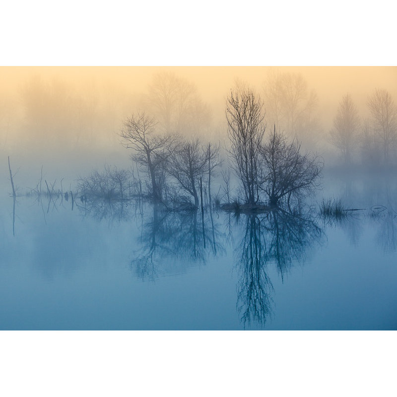 Wrapped Canvas Print, 91.44 cm H x 60.96 cm W