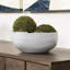 Webster Ceramic / Porcelain Decorative Bowl 1