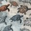 Turtle Comforter