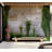Wall Mural-1599730285