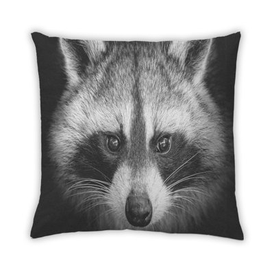 Coussin Raccoon