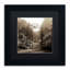 Alan Blaustein, «Hampton Gates III», reproduction de photo encadrée-21030969-21030968-69026806