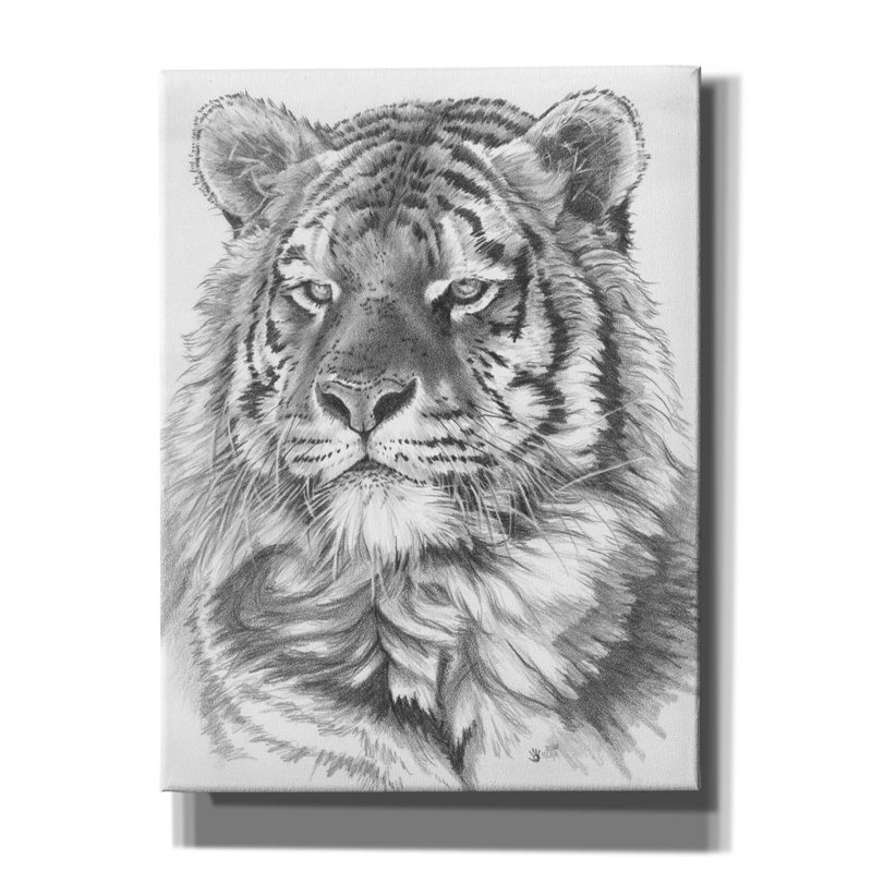 'Titan' by Barbara Keith, Canvas Wall Art, 16" H x 12" W x 0.75" D