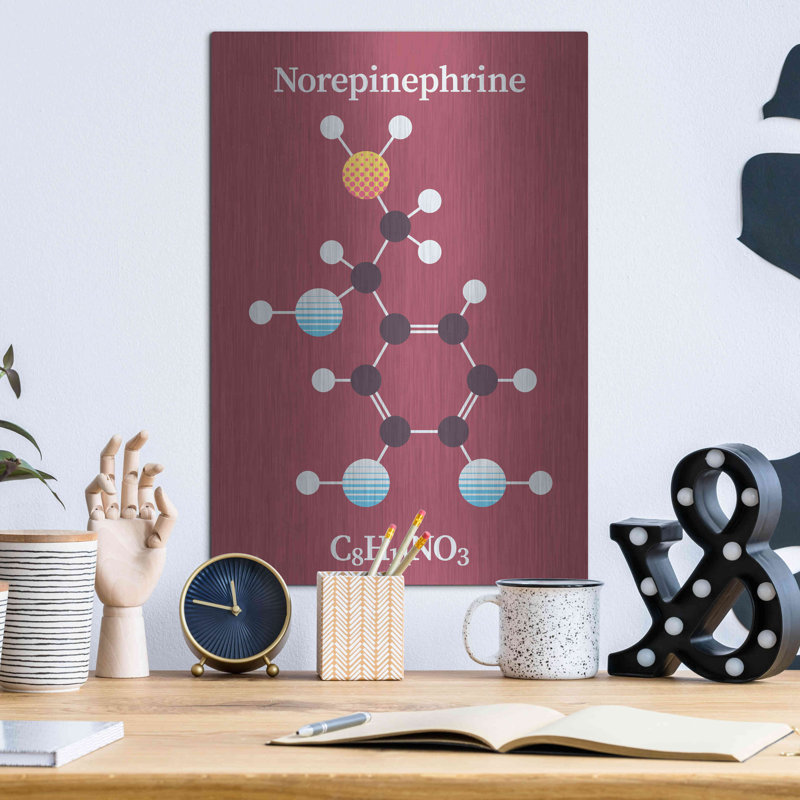 Trinx «Norepinephrine Molecule 2» par Luxe Portfolio, art mural en métal, H 16 po x l 12 po
