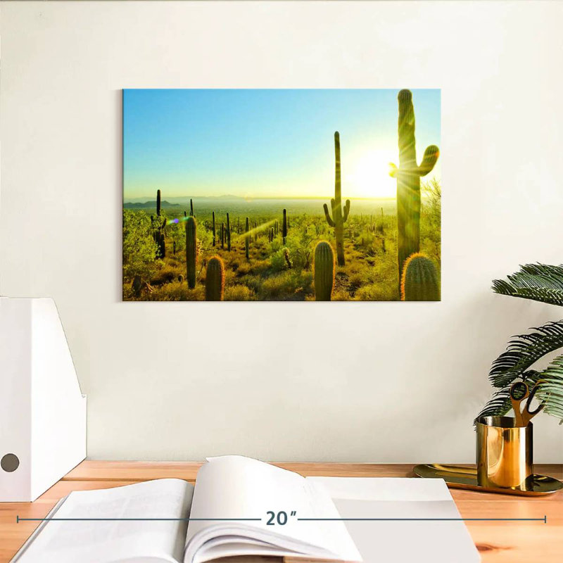 Harnek Sunny Arizona Cactus, 8" H x 12" W