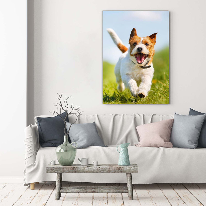 Dog Jack Russell - Wrapped Canvas Print
