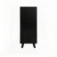 Armoire 2 portes 1 tiroir en rotin Allen avec étagère à chaussures, double couche, parfaite pour l'entrée et le rangement
