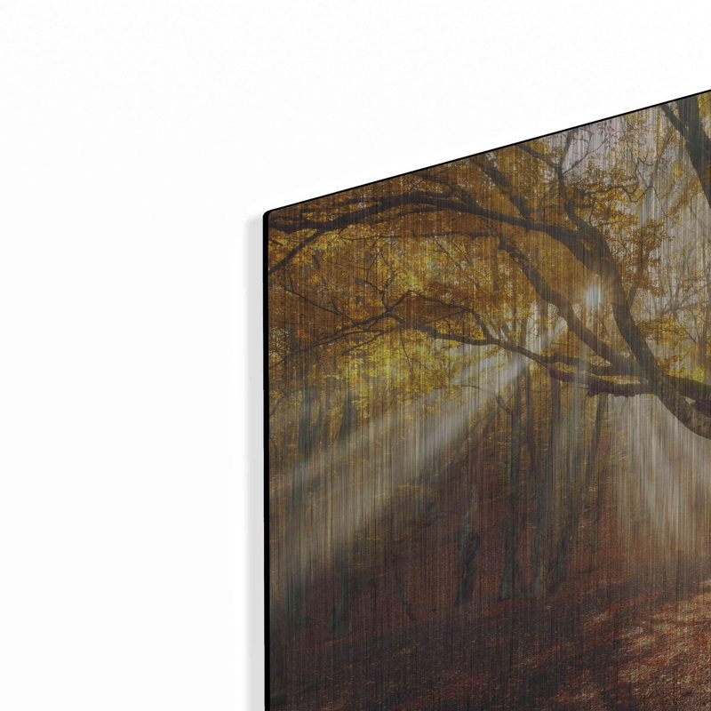 Art mural en métal «Enchanted Forest» Luxe, 16 po x 12 po, H 12 po x l 16 po