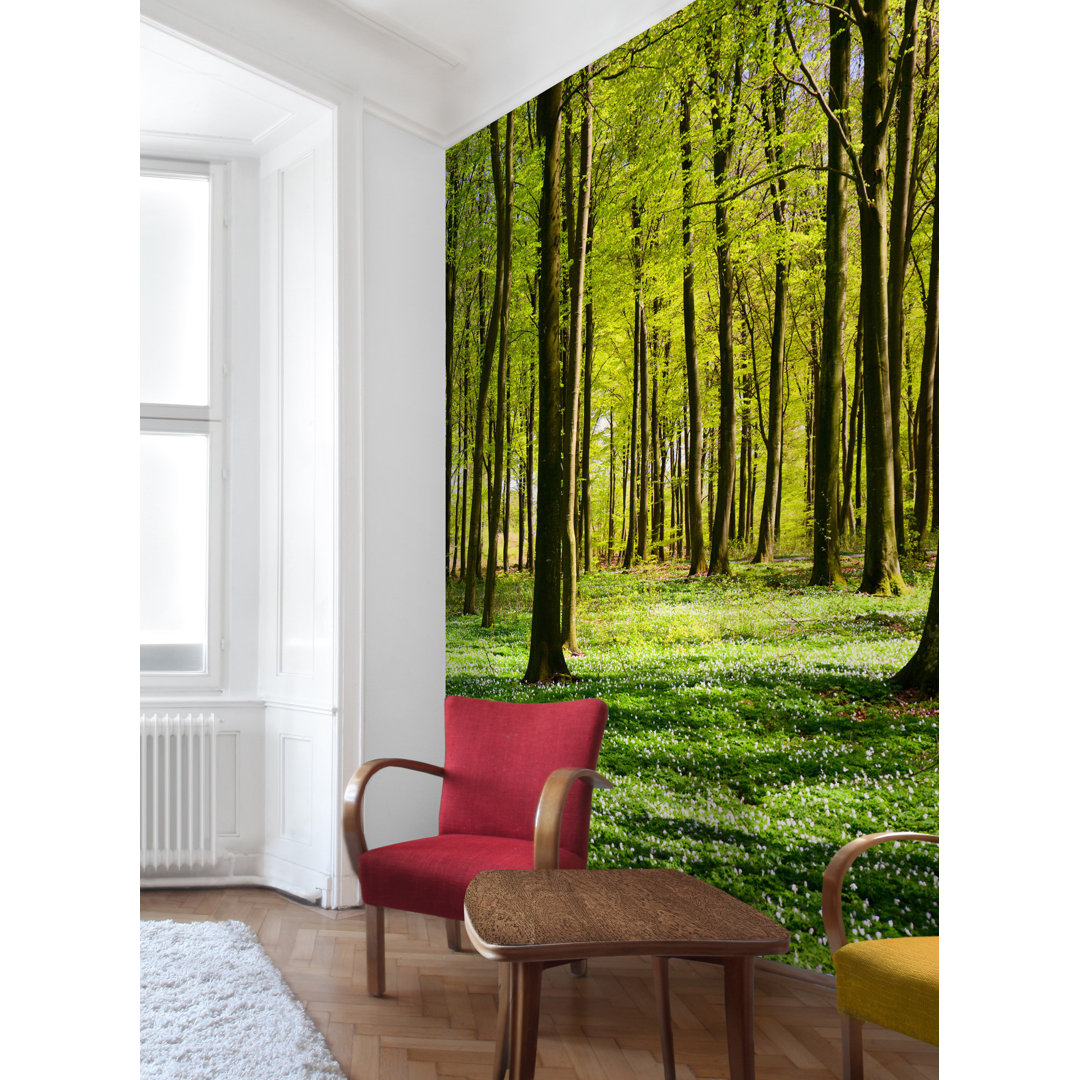 Forest Meadow 2.4m x 2.4m Textured Matt Peel & Stick Wall Mural