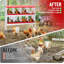 Boîtes gigognes en métal à 8 compartiments, boîtes gigognes avec pieds en métal, boîte à poules avec œufs roulants-571270882-746780185