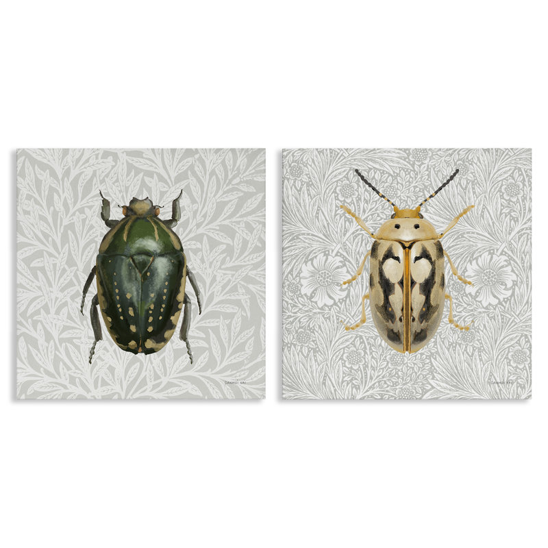 Beetle Insect Portrait 2 PC Canvas Wall Art Set by Danhui Nai, 17" H x 17" W