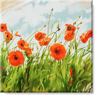 «Poppy Field» par Darren Gygi, impression sur toile tendue