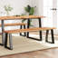 Ovando Bench-2037055284