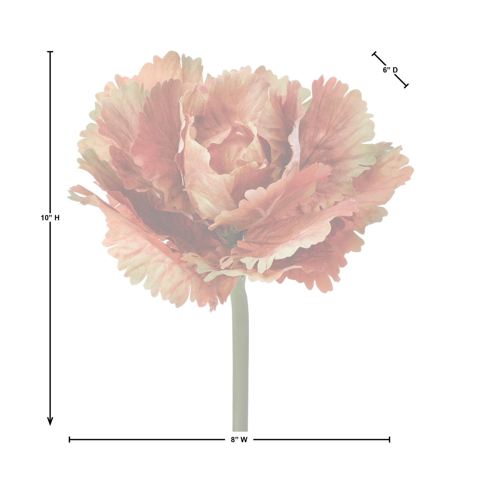 10" Autumn Cabbage Stem, Cinnamon