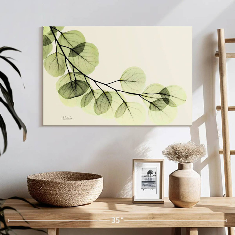 Harnek Mint Eucalyptus, 16" H x 24" W