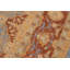 Silke Wool Oriental Rug
