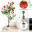 Plant-1380877551
