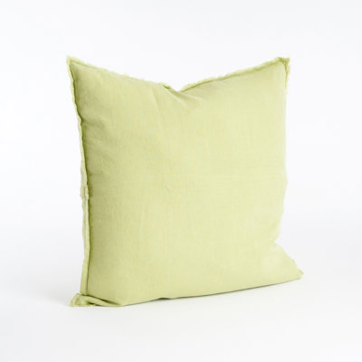  Throw Pillow Cover & Insert