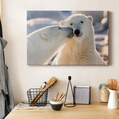 Ours polaire - photographie sur toile tendue