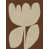 Brown selected