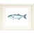 White Framed Paper selected