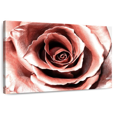 Fleur Harnek or rose